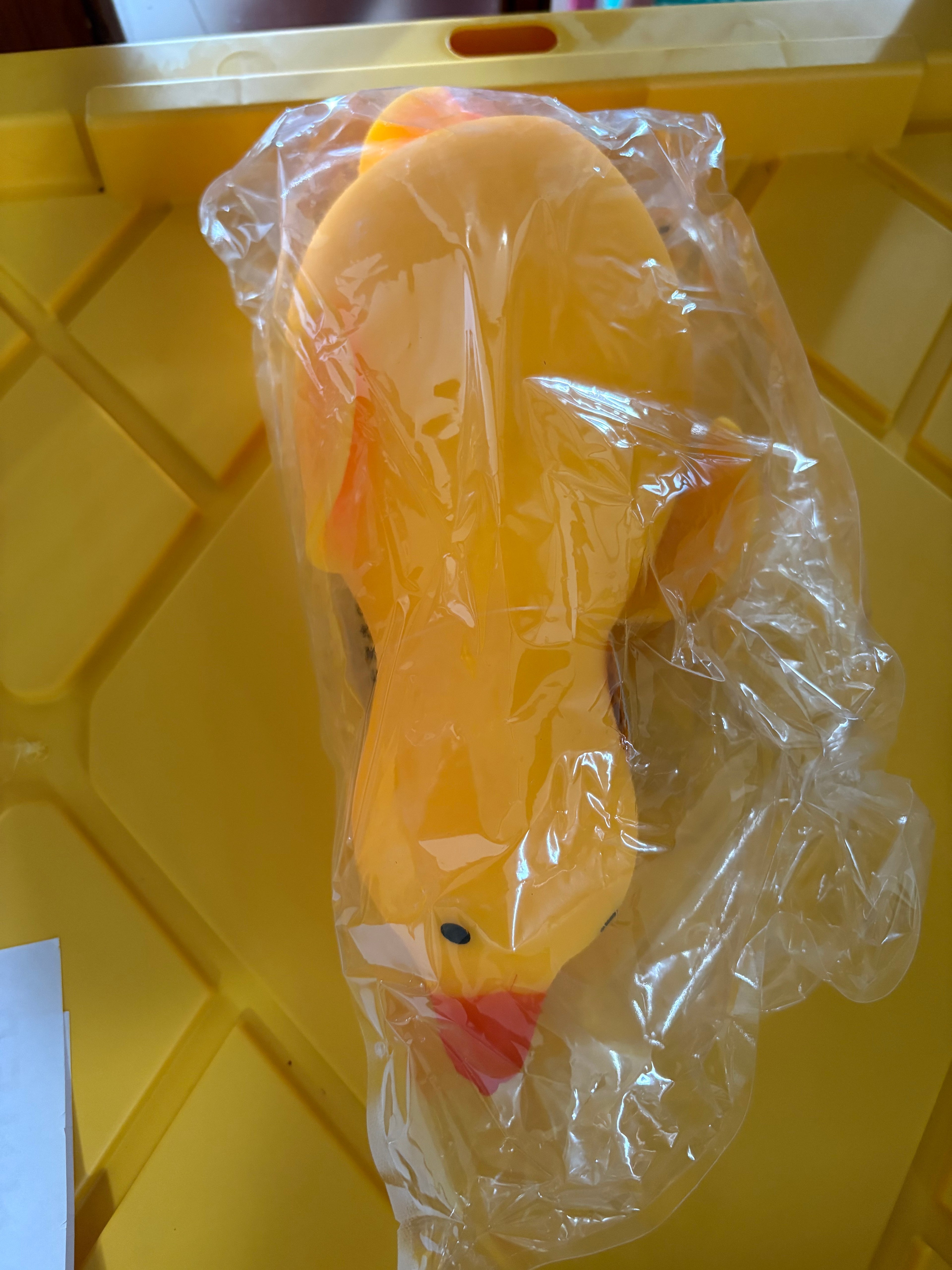 Jumbo Squish Duck