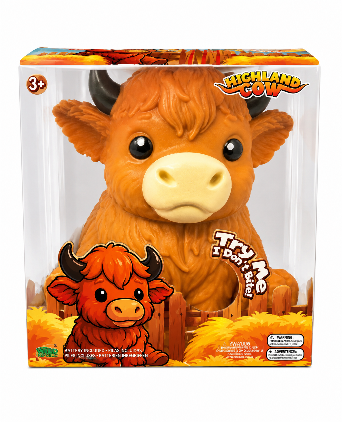 Highland cow