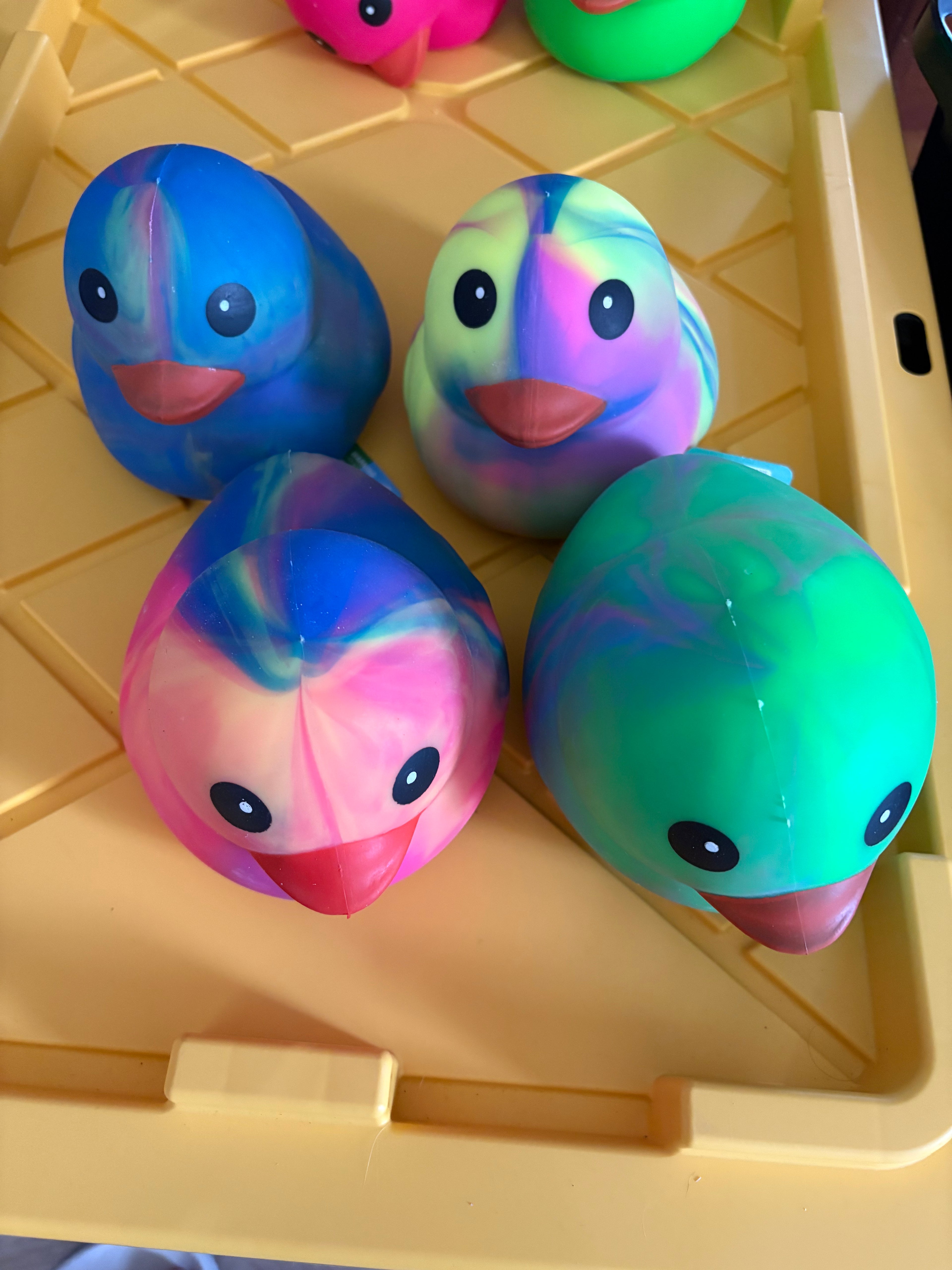 Tie Dye Duck