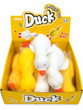 Jumbo duck